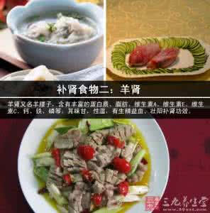 女人补肾食物食谱大全 什么食物补肾最好 补肾食谱来帮您