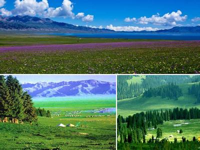 伊犁大草原叫什么地方 伊犁大草原