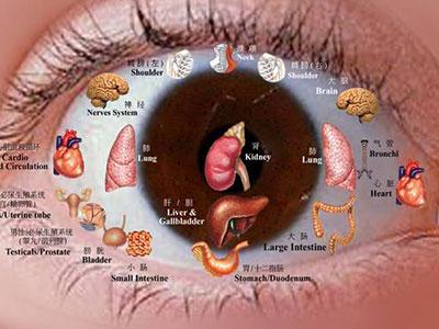 眼睛是心灵的窗户也是 眼睛也是肝的窗户 肝好身体就好