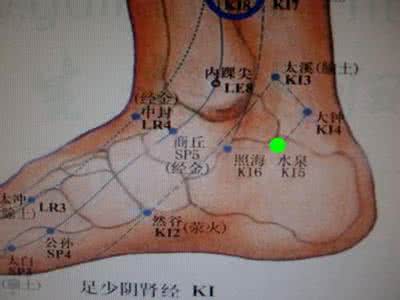 足少阴肾经的作用 足少阴肾经 足少阴肾经穴位
