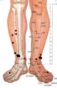 腿部经络疏通怎样排毒 怎样排毒 按摩经络五个穴位
