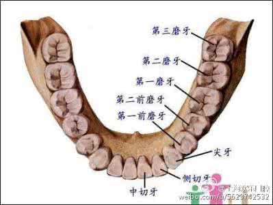 拔智齿痛不痛 拔智齿痛不痛 不痛的智齿也要拔吗？