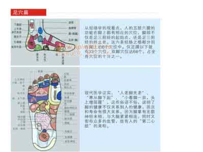 气血循环机的作用 气血循环机的作用 气血循环机的作用和选购技巧