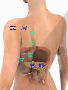 剑突的位置胀气食道癌 胰腺炎会剑突下胀气吗?
