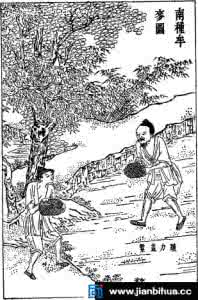 1998年虎女一辈子命运 1998年虎女一辈子命运 古代农民如何避免一辈子当农民的命运