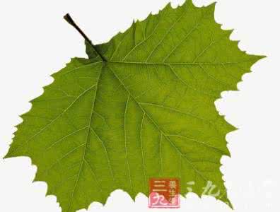 哪种甜点 心理测试 心理测试 你的哪种优势能让你赚到钱