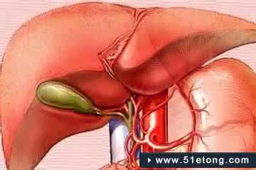 慢性胆囊炎的症状表现 慢性胆囊炎症状 慢性胆囊炎症状 慢性胆囊炎患者的特殊表现