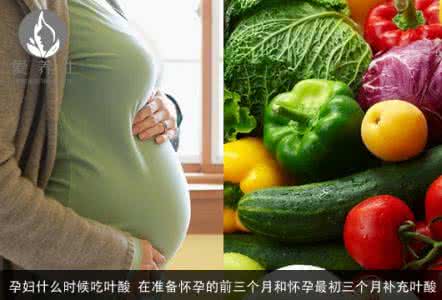 食补叶酸 食补叶酸 补充叶酸 食补不如药补？