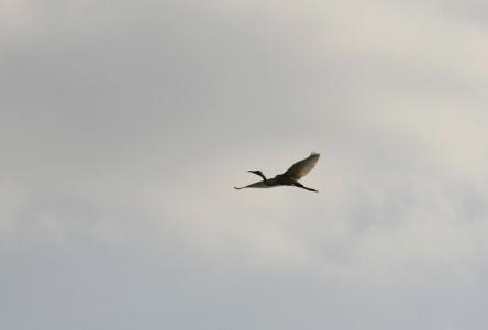 多想陪你走过每一天 想陪你，走过细水流年！