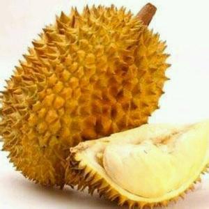 猫山王榴莲图片 猫山王榴莲图片 你是否了解猫山王榴莲图片