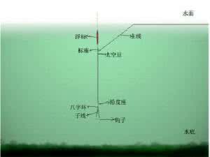 拉饵找底 拉饵找底技巧有哪些？-今日头条