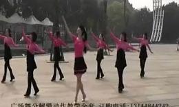 青儿广场舞冬天白玫瑰 冬天里的白玫瑰广场舞分解动作视频教学