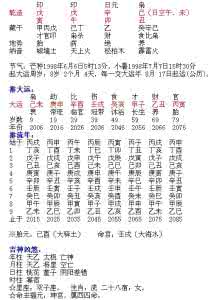 大运天干为喜地支为忌 大运和支中喜忌在大运的透与清的看法