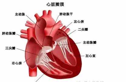 血稠与高血脂 治疗人体“三高”-高血稠高血脂高血糖偏方【引用】