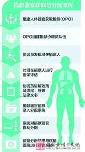 器官捐献数量增长 四年间山东器官捐献90人 未成年占3人