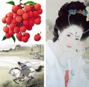 杨贵妃为什么爱吃荔枝 杨贵妃为什么爱吃荔枝？