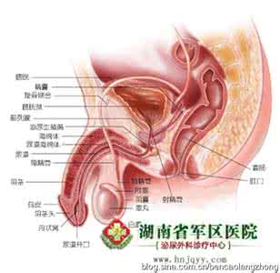 男科炎症前列腺炎 前列腺炎症 告诉前列腺炎的治疗方法有哪些