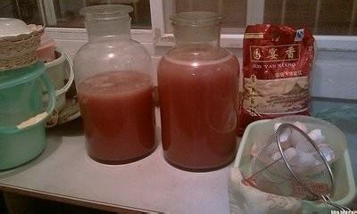 家庭自酿葡萄酒方法 最简单而又实用的家庭自酿葡萄酒方法