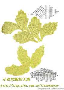 爱尔兰花边教程 爱尔兰花边教程----“小花朵”