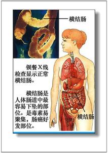 地理风水师必备口诀 养生备于理：“人体器官养护”诀