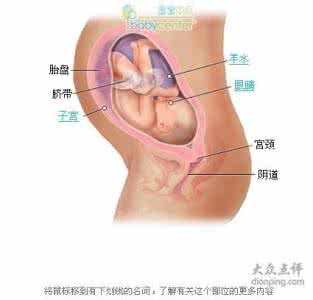 孕妇吃什么胎儿皮肤白 孕妇吃什么对胎儿好 孕妇吃什么对胎儿皮肤好，推荐4类食物