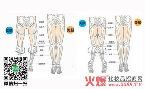男生标准的腿型是样的 男生标准的腿型是样的 标准腿型是怎样的