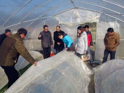 农业气象服务 探析气象为农服务的规范化管理