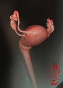 胎儿发育40周全过程 胎儿在子宫40周发育全过程