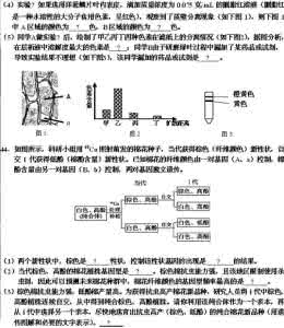 高二生物试题及答案 2011、6嘉兴市高二生物期末试题及答案