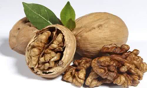 核桃长毛了还能吃吗 核桃的作用 核桃开花居然还能吃