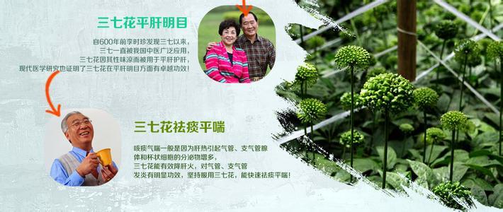 【中药佳方】一张图推荐《一勺三七粉  浑身百病消》治病效果看得见！
