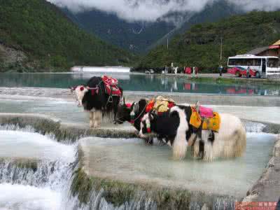 丽江四日游攻略 丽江旅游景点 丽江休闲四日游攻略