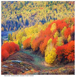 prep语法笔记 2014秋季-语法笔记