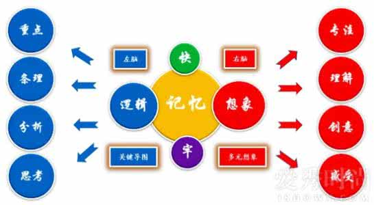 怎样提高记忆力训练 记忆力增强 最全面的提高记忆力训练方法、原理_记忆力增强