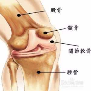 跑完步后膝盖疼 为什么膝盖在跑完步后会很疼?如何缓解膝盖疼痛?