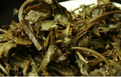 茶叶渣的用途 茶叶渣的十大神奇妙用