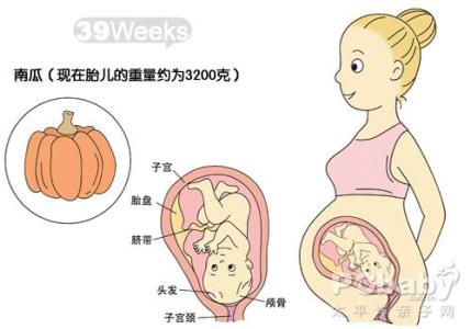妊娠饮食禁忌 怀孕39周饮食注意事项