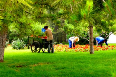 老师是辛勤的园丁 致辛勤园丁：麻辣鲜师护肤之道