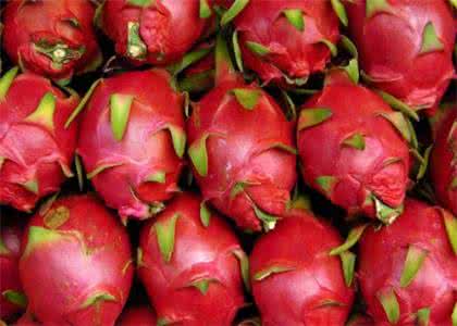 火龙果减肥法 火龙果减肥法 火龙果是如何减肥的呢