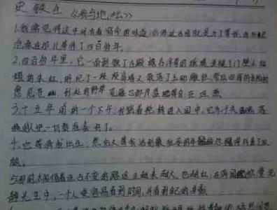 尘埃落定字数 尘埃落定后作文100字