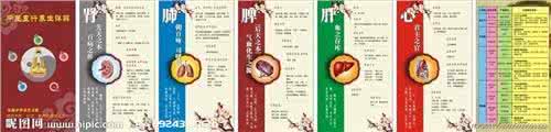 人体阴阳五行图解 中医养生经典图解 第一篇 阴阳五行学说 第七讲 说明人体的组织结构