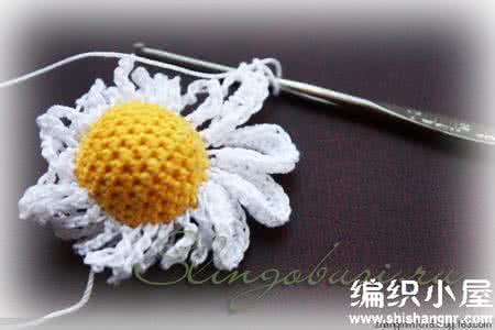 钩针编织花样详解 【编织花样】漂亮逼真的小雏菊的钩法