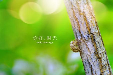 夏天大自然的声音 夏天的声音