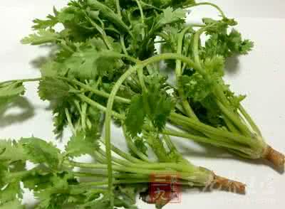 为什么有人讨厌香菜 香菜的功效 多数人讨厌的香菜却是养生宝贝