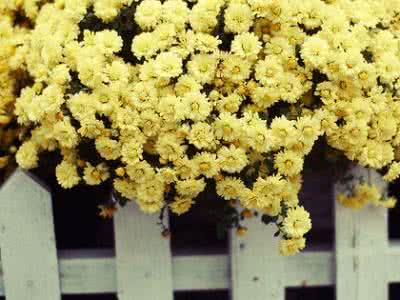 女人贪恋什么样的男人 十种男人天生贪恋野花