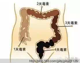 清理肠道宿便最好方法 简单五招清掉体内宿便