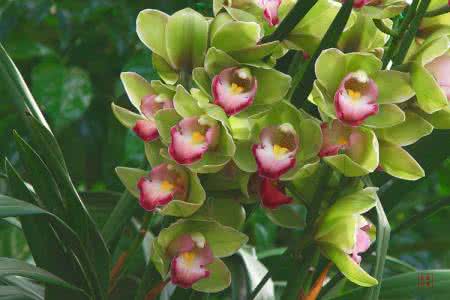 灵气养心纯音乐 舒缓心灵的唯美纯音乐70首【养心音乐系列】