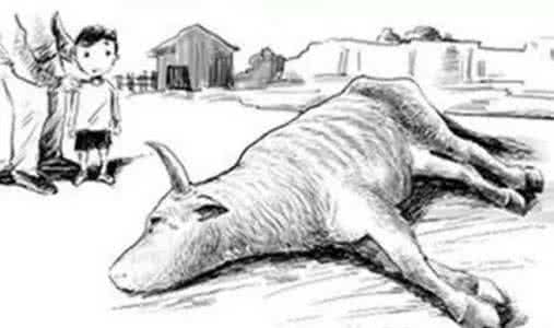 这个故事告诉我们 “牛”是怎么死的？这个故事很经典，寓意很深