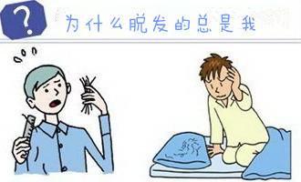 国家名老中医治掉发方 六十年老中医分享脱发,掉发的小偏方。
