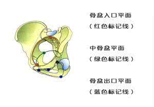 正常分娩的几个要素,有些你掌控不了,有些可以运动促进。你能做的有很多……